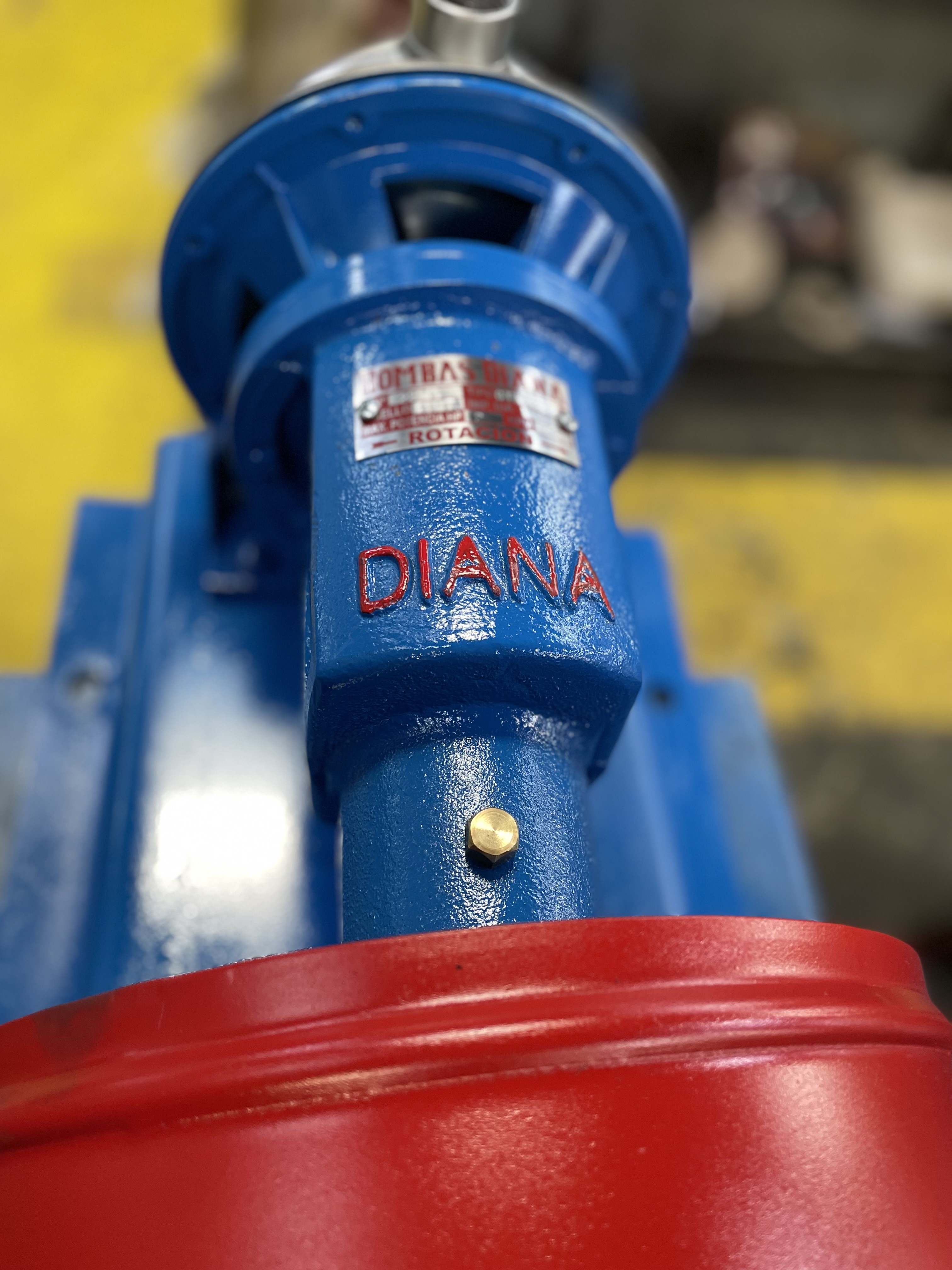 Bombas Diana - 8